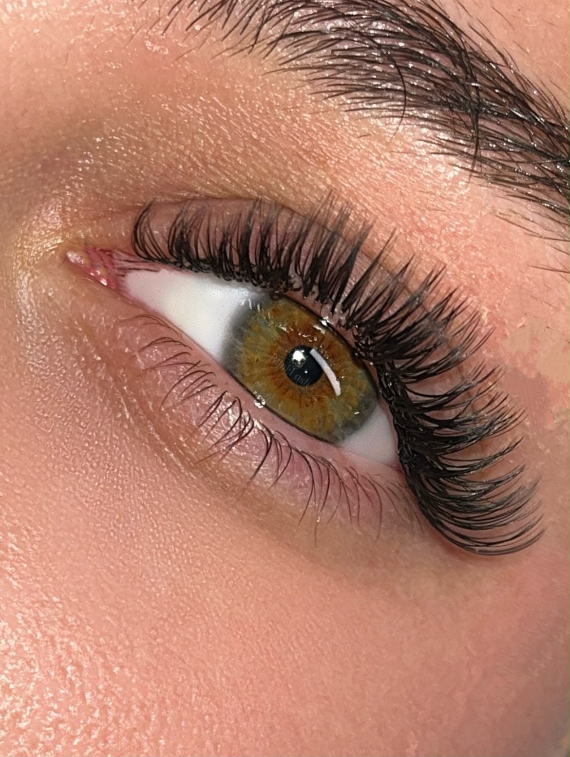Lash 3